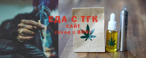 тгк Гусев