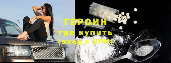 тгк Гусев