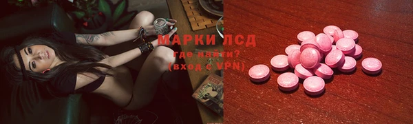 тгк Гусев