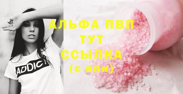 тгк Гусев