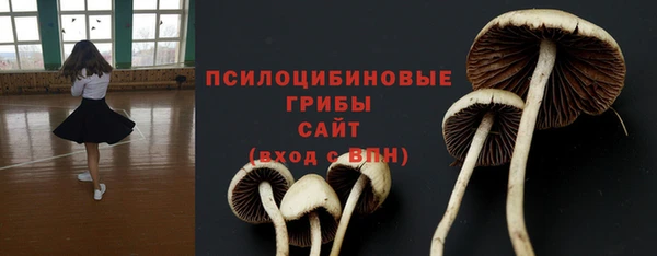 экстази Гусь-Хрустальный