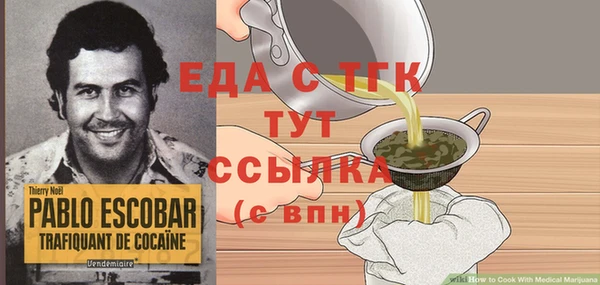 тгк Гусев