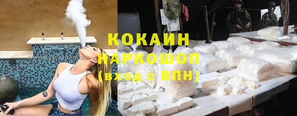 тгк Гусев